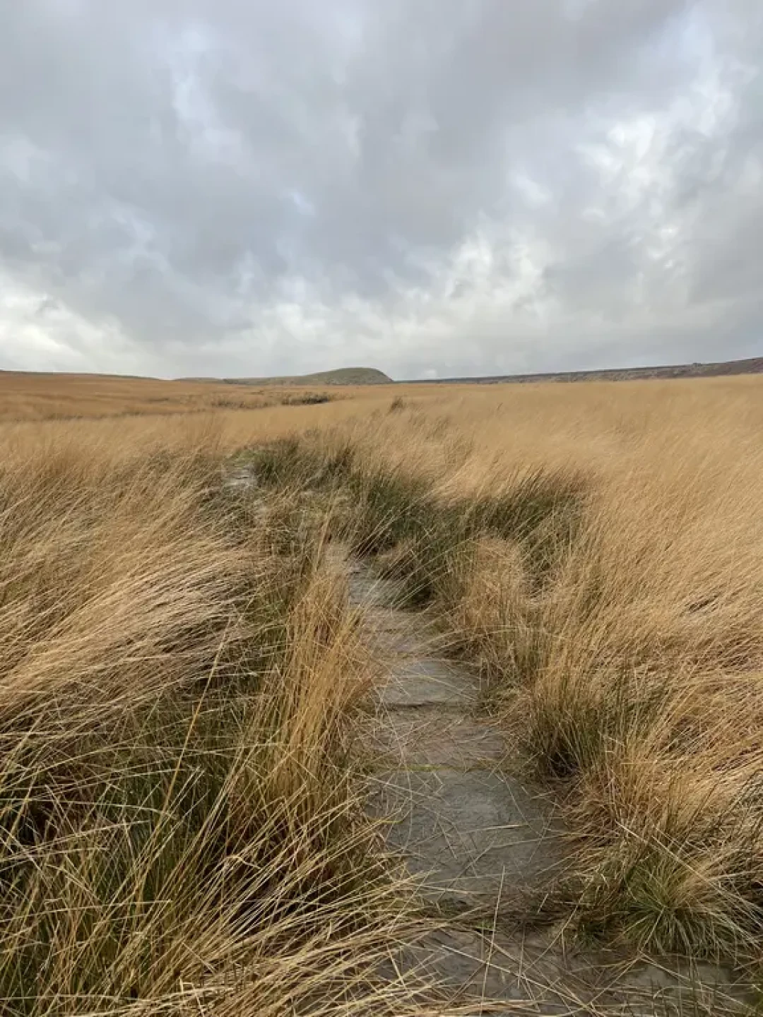 🌰Marsden Moor-穿越5,500英亩荒原