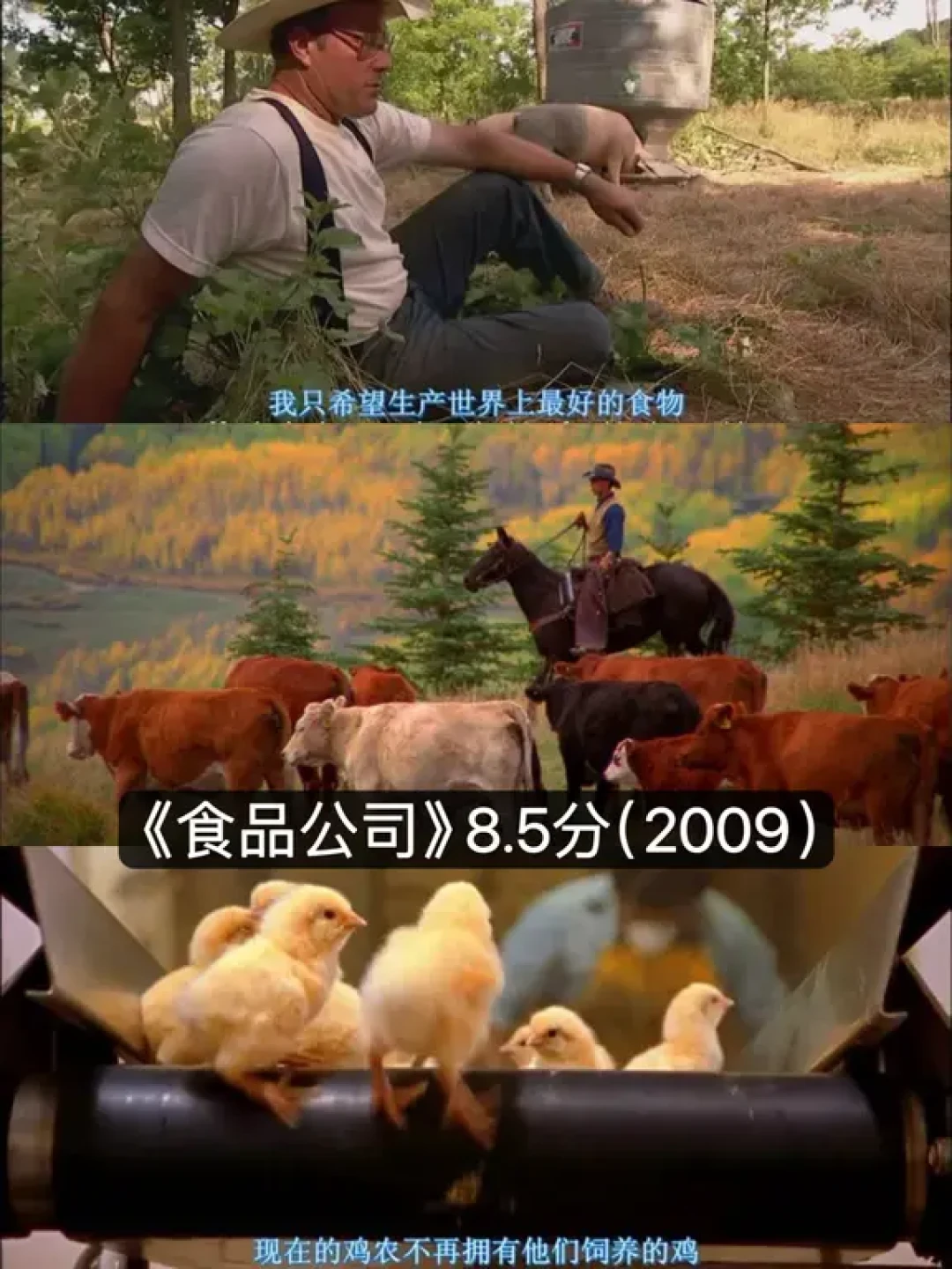 减肥变美必看🔥看完后‼️食欲真的消失啦❣️