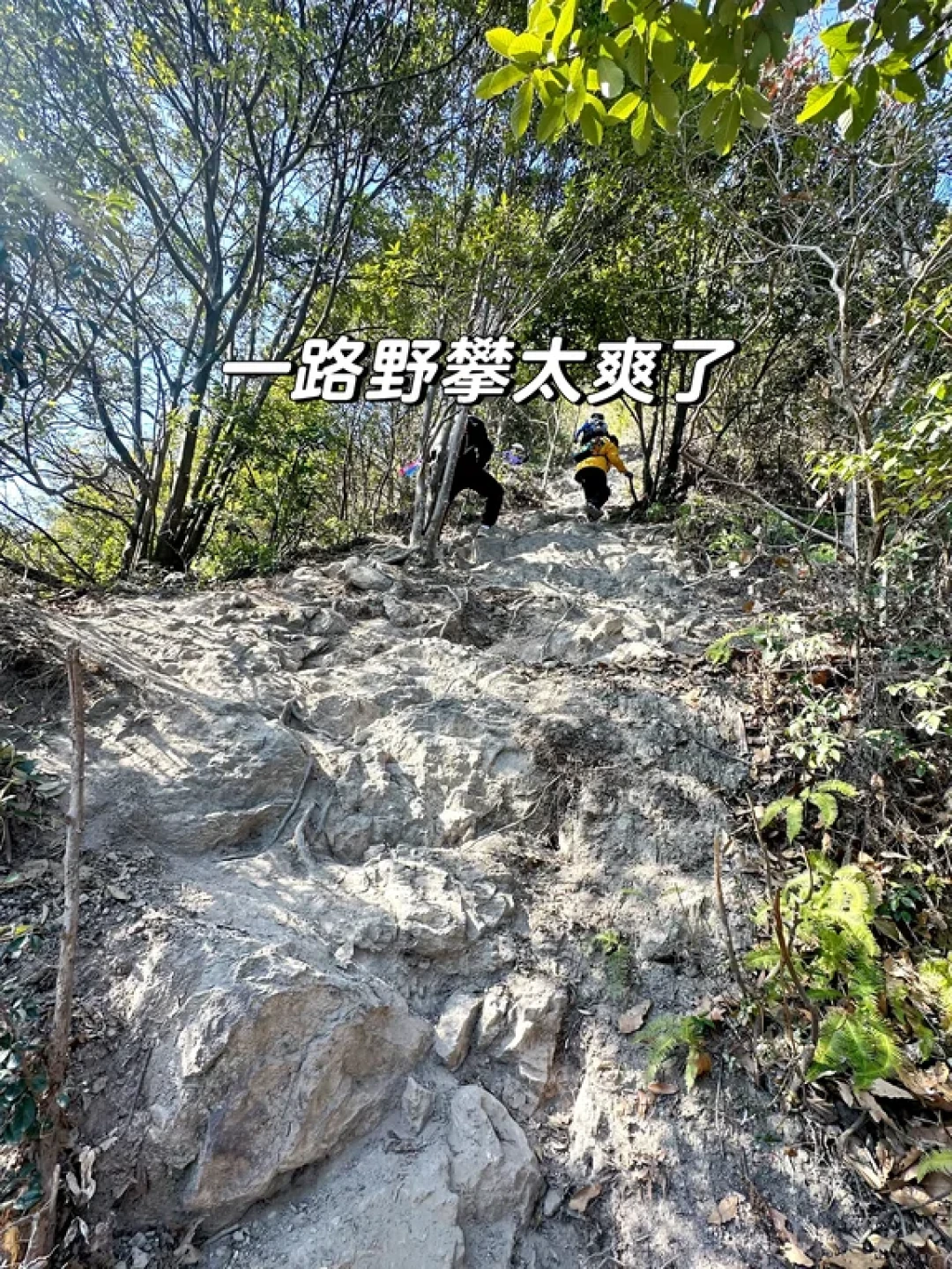 绍兴新昌水牛背徒步|在山脊上做“山野侠客”