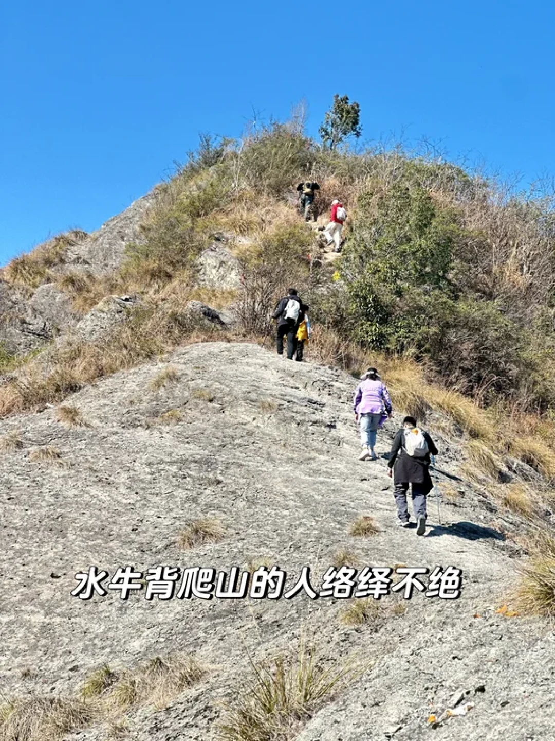绍兴新昌水牛背徒步|在山脊上做“山野侠客”