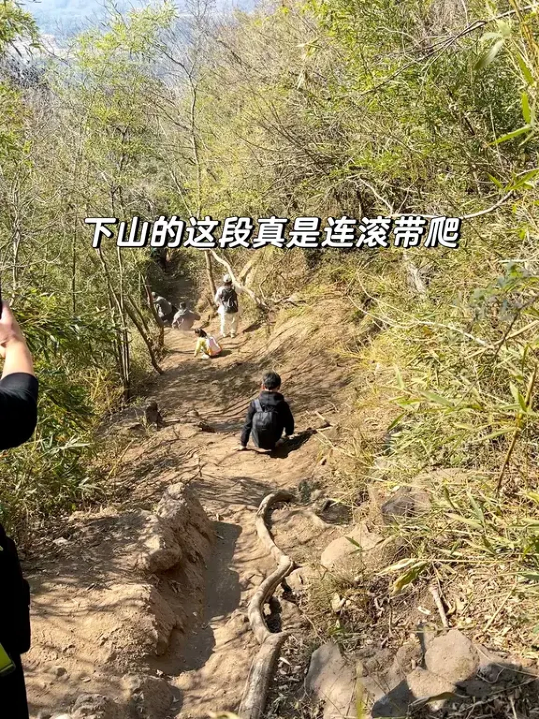绍兴新昌水牛背徒步|在山脊上做“山野侠客”
