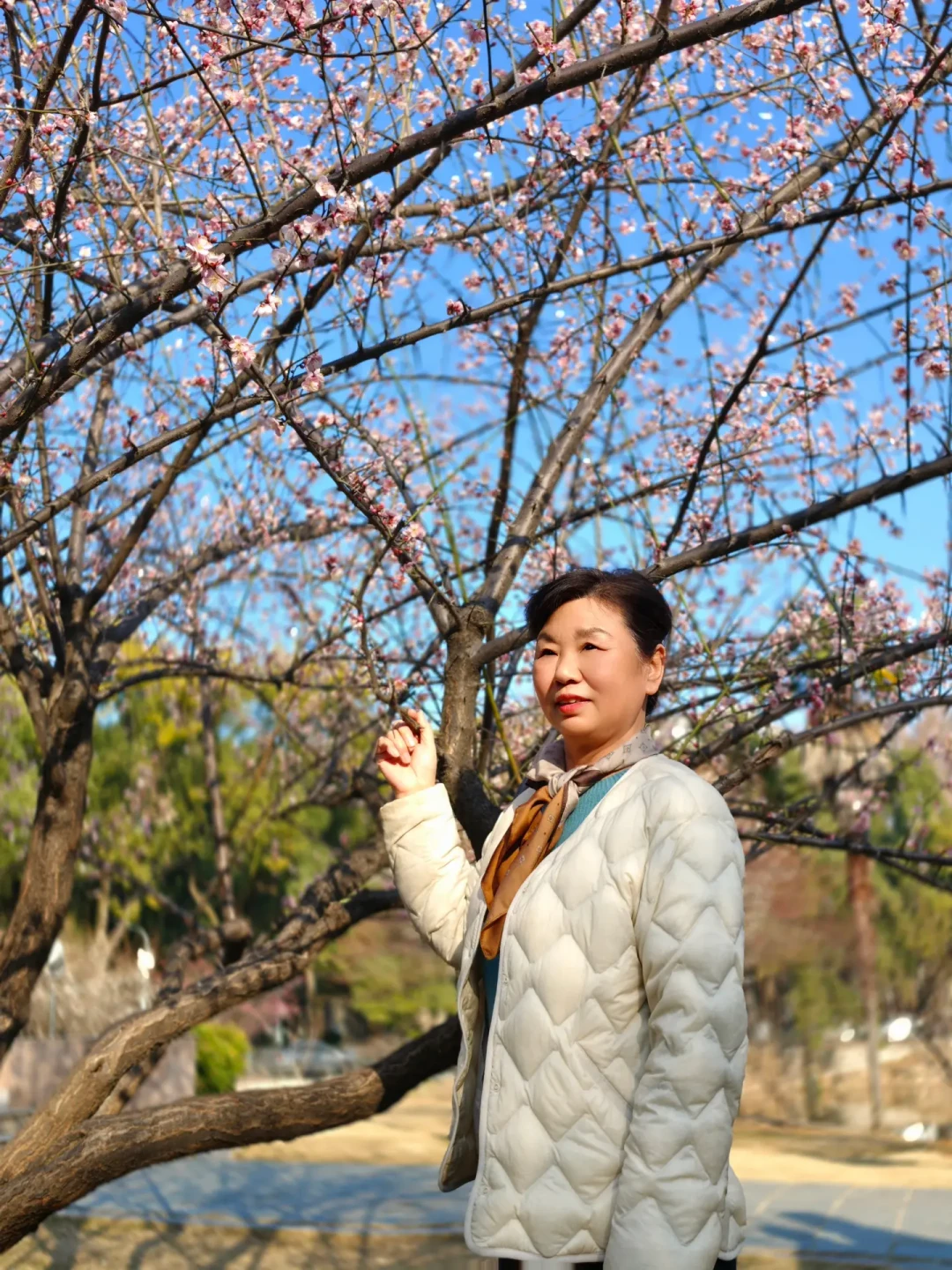 武汉华科梅花实拍|带妈妈赏花拍照保姆攻略