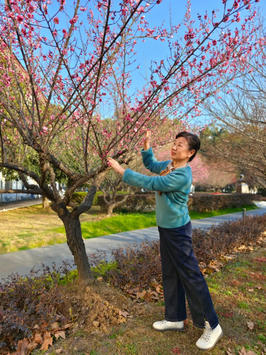 武汉华科梅花实拍|带妈妈赏花拍照保姆攻略