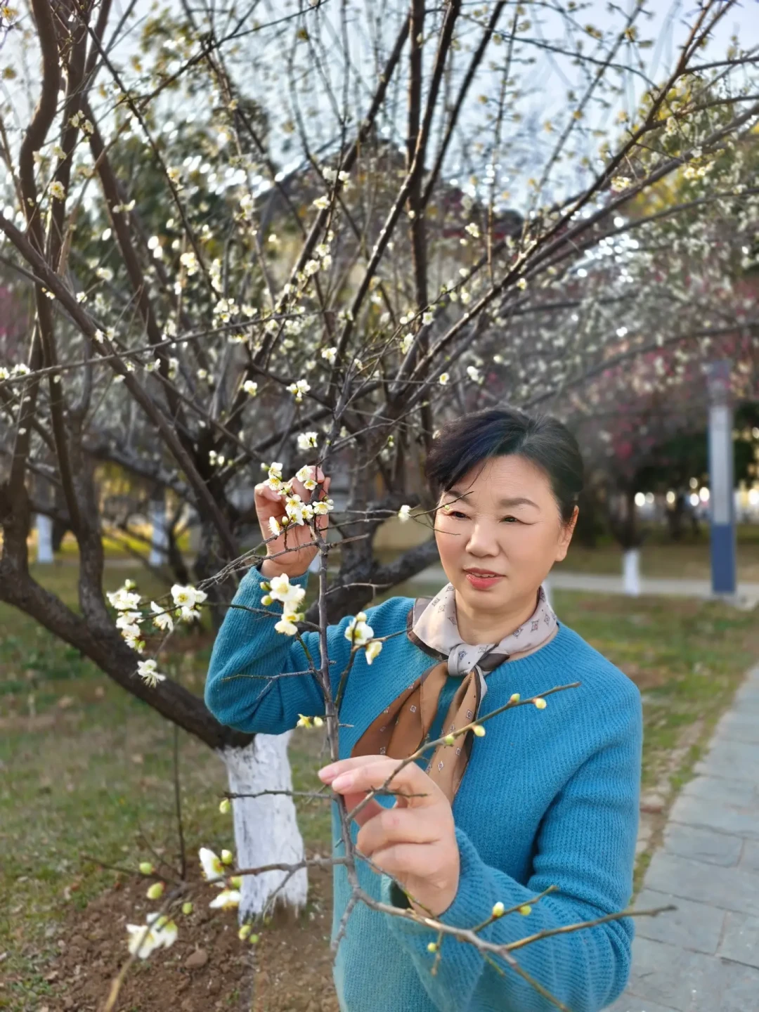 武汉华科梅花实拍|带妈妈赏花拍照保姆攻略