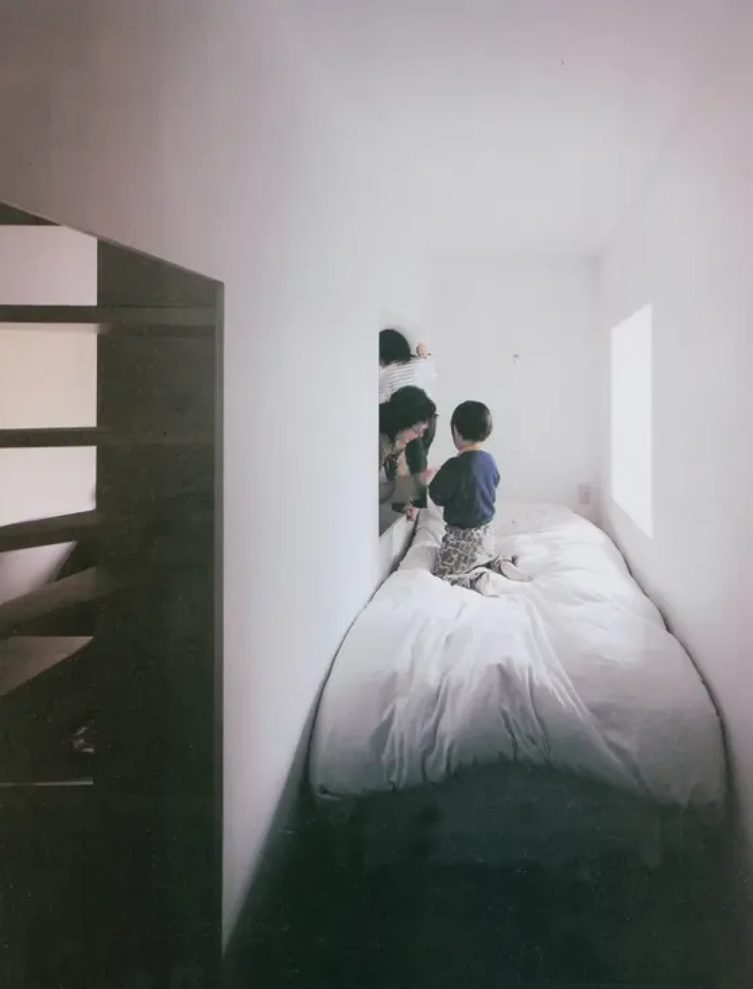 手绘100个经典|妹岛和氏🌸李子林住宅