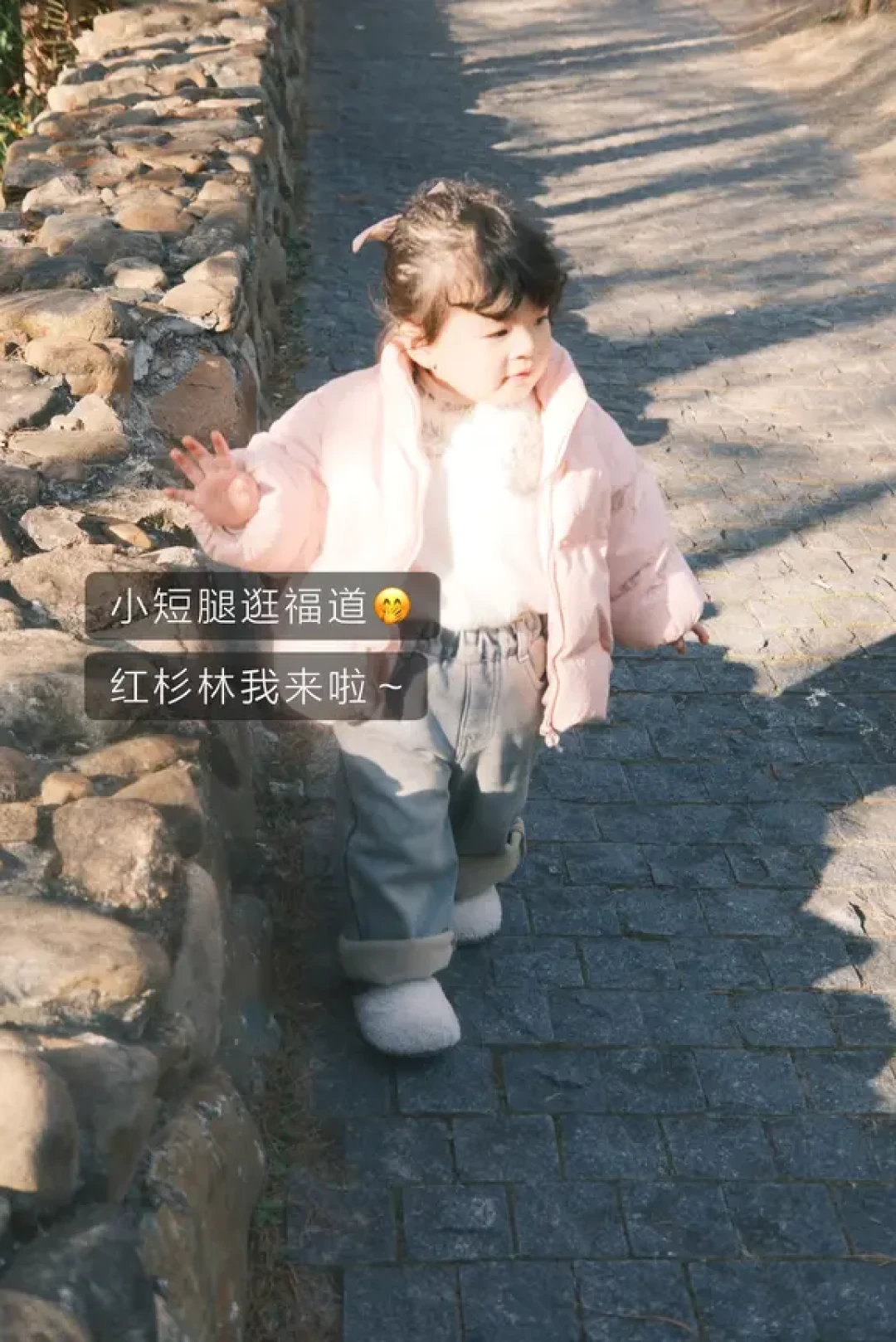 福州遛娃｜3岁娃也能刷的福道水杉路线