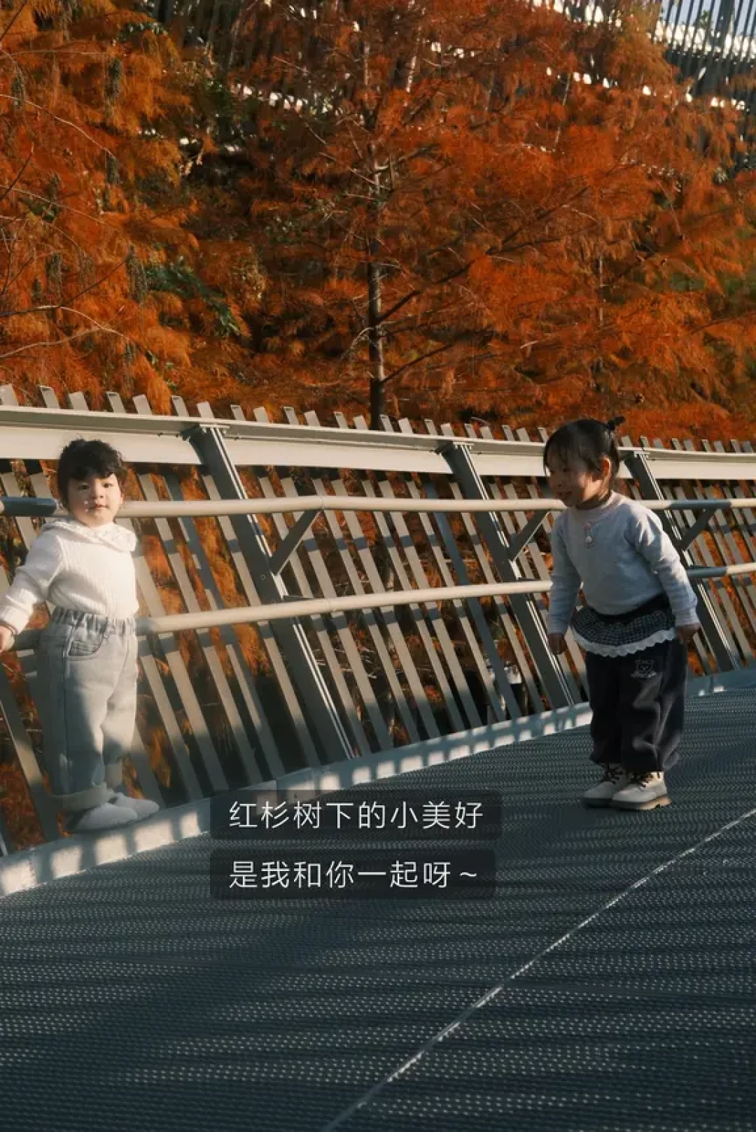 福州遛娃｜3岁娃也能刷的福道水杉路线