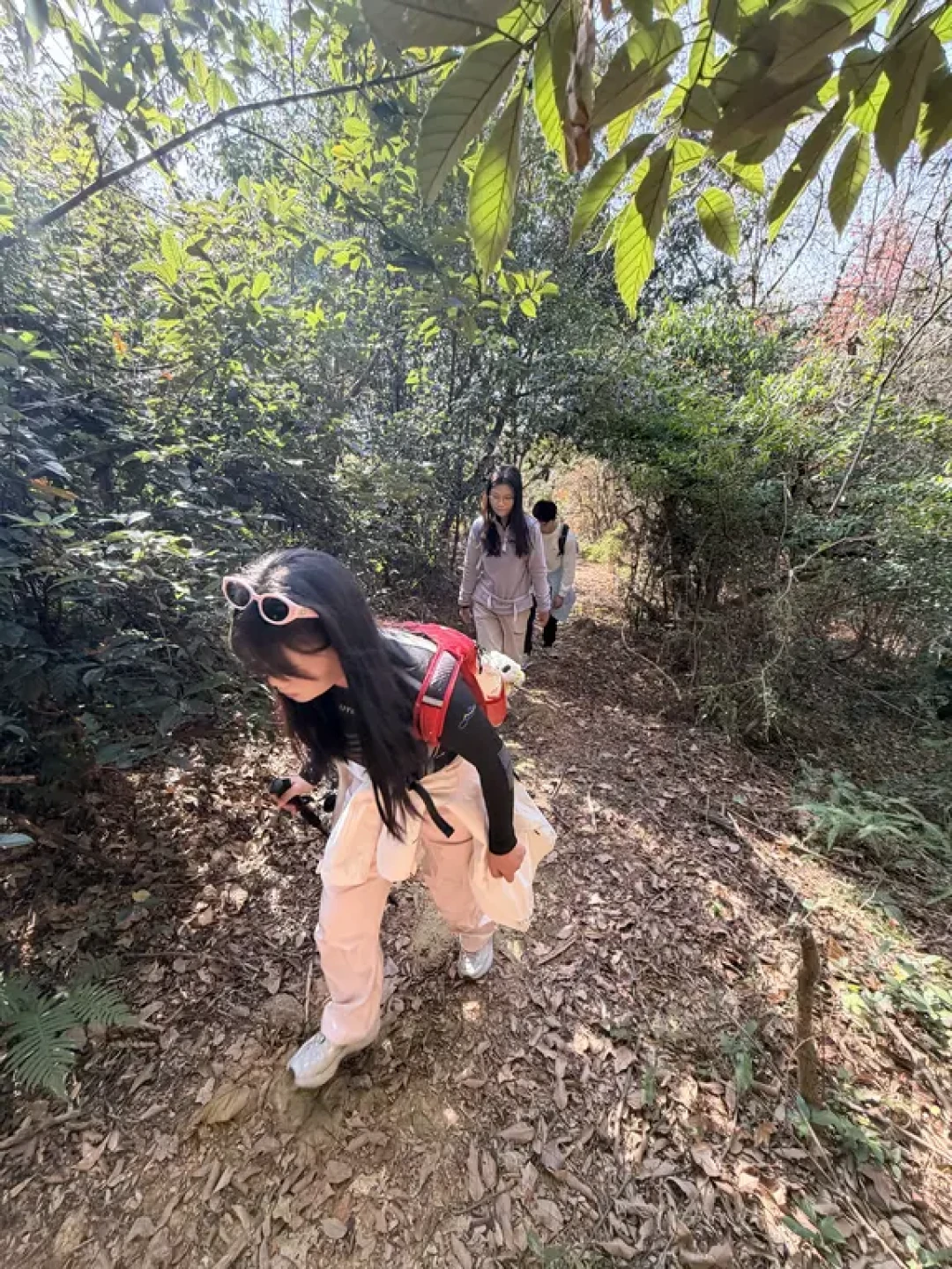 温州 | 一条山脊线把我骗到杨文广栈
