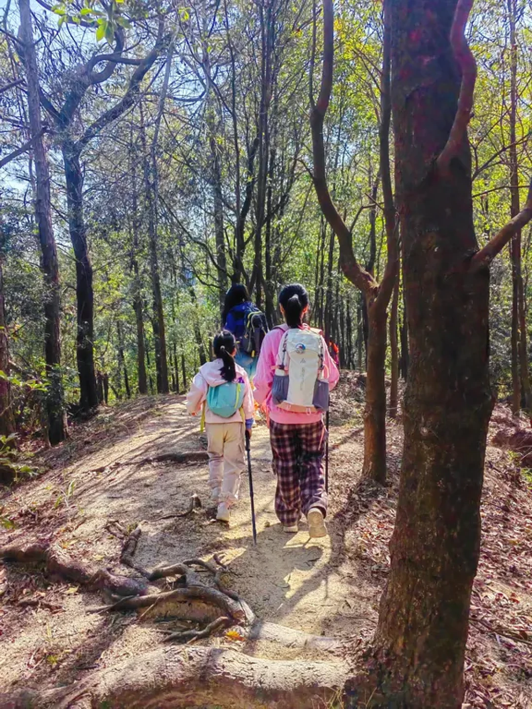 中山十八洞野路徒步,酸酸爽爽登山鈤