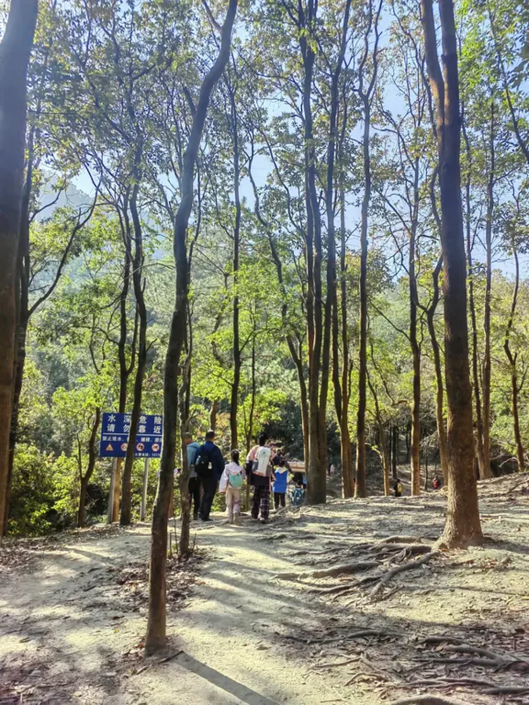 中山十八洞野路徒步,酸酸爽爽登山鈤