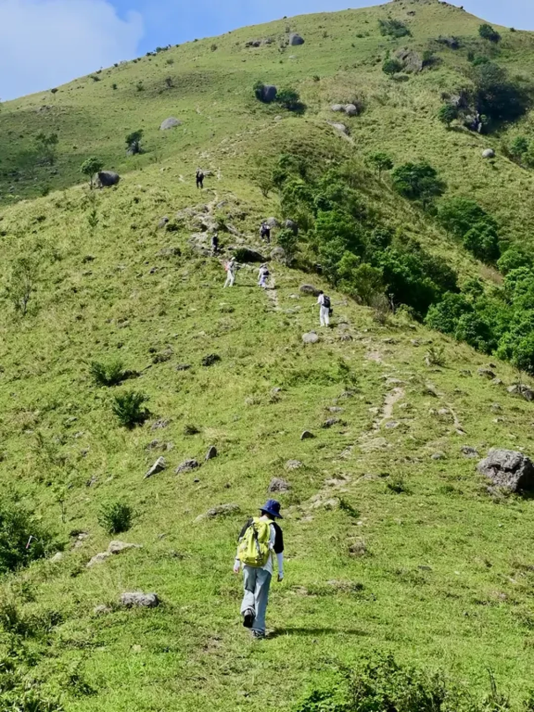 我走过最惊艳的山不是江西武功山,而在广东