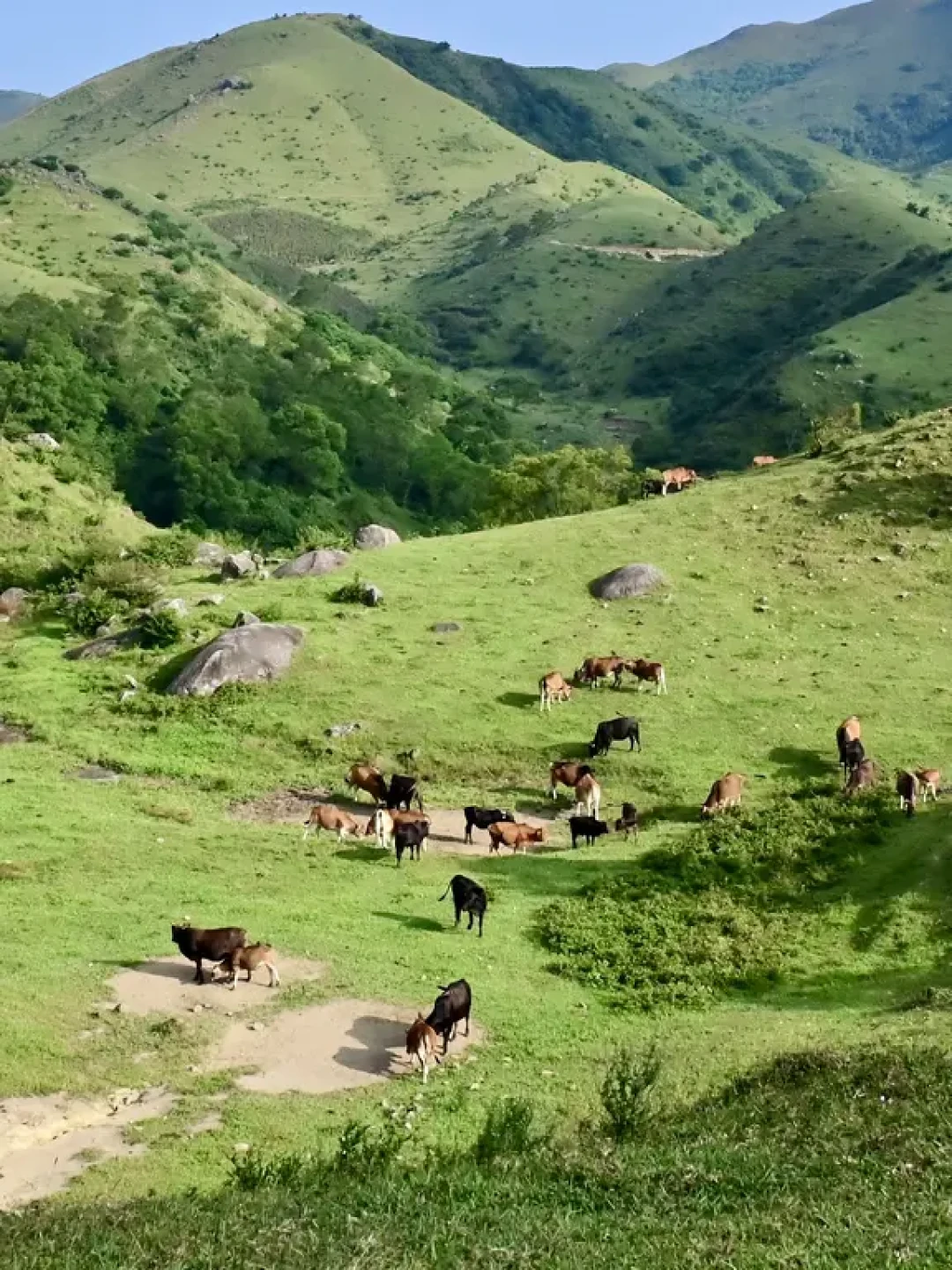 我走过最惊艳的山不是江西武功山,而在广东