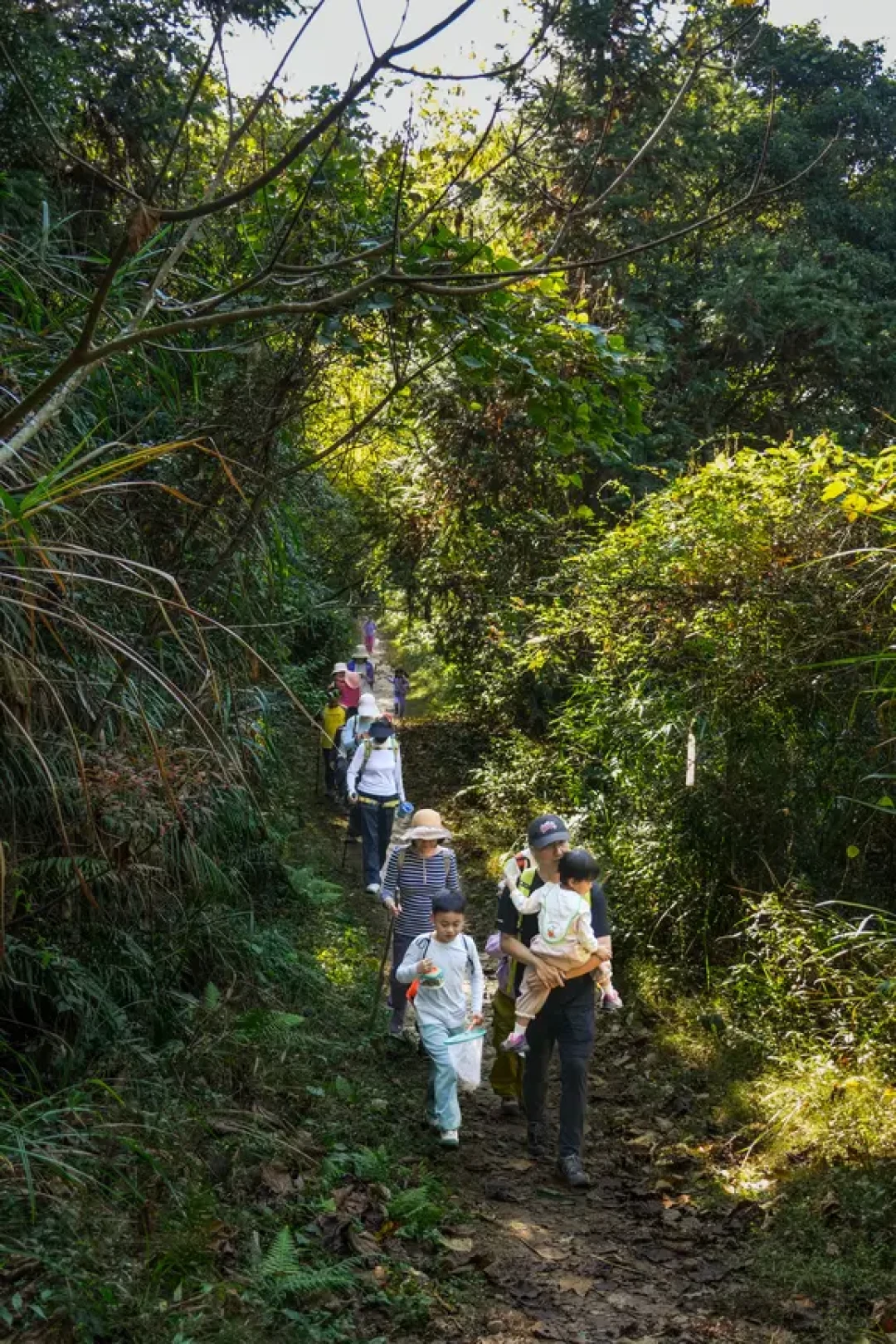 亲子徒步 | 福州40min可直达的山野秘境㊙️