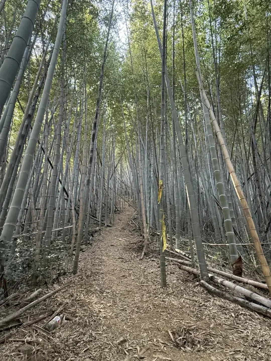 10条江浙越野跑训练黄金线路！