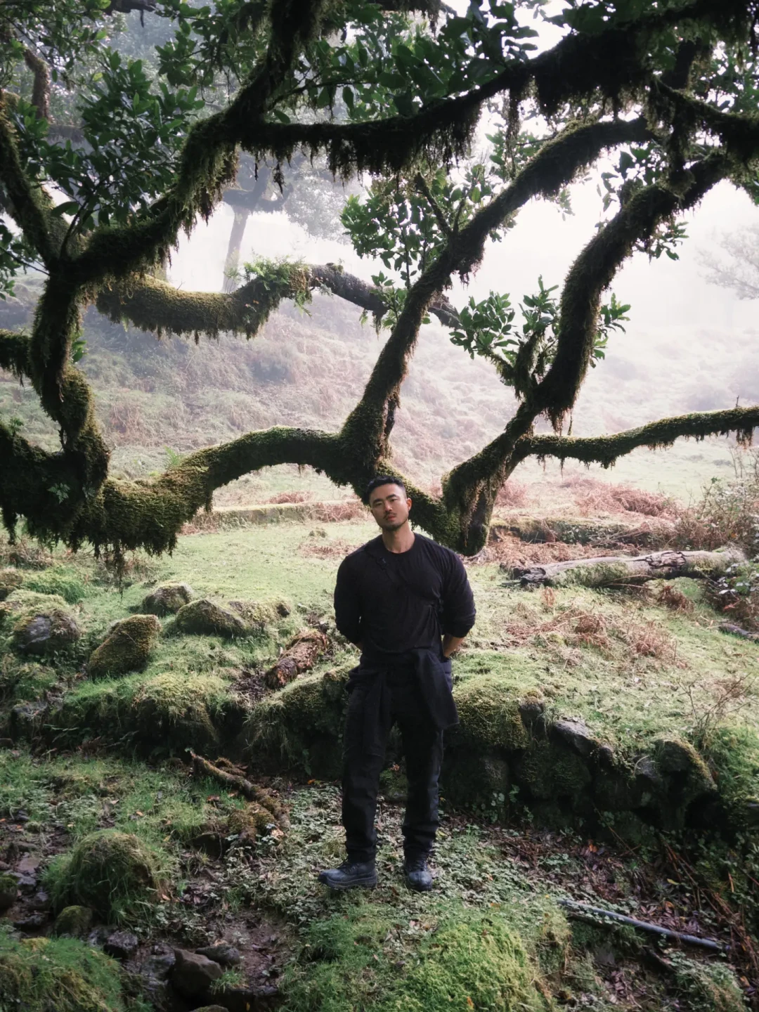欧洲唯一千年迷雾森林Fanal Forest🌲