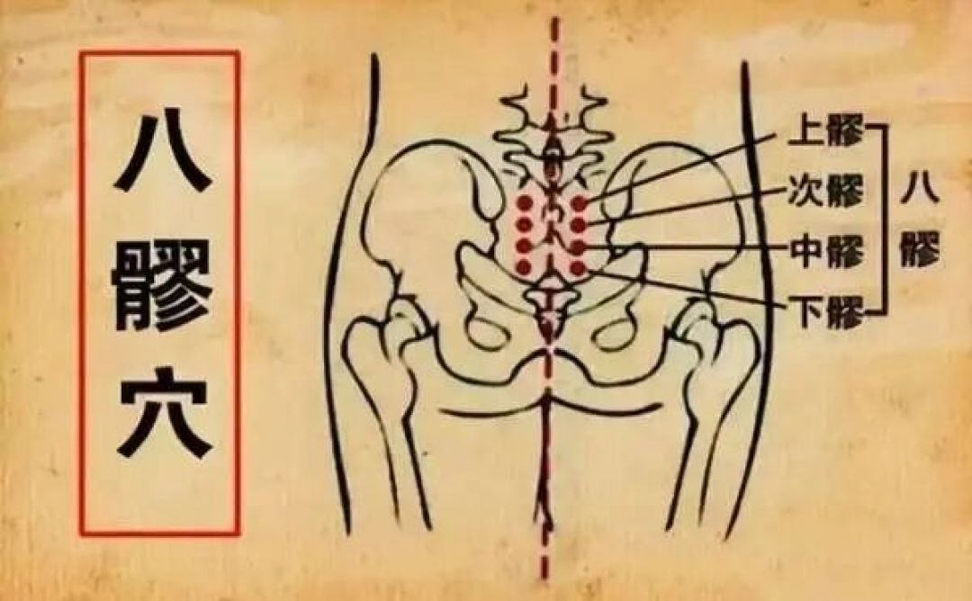 冬至养生指南|南北食养有讲究,温阳散寒正当时