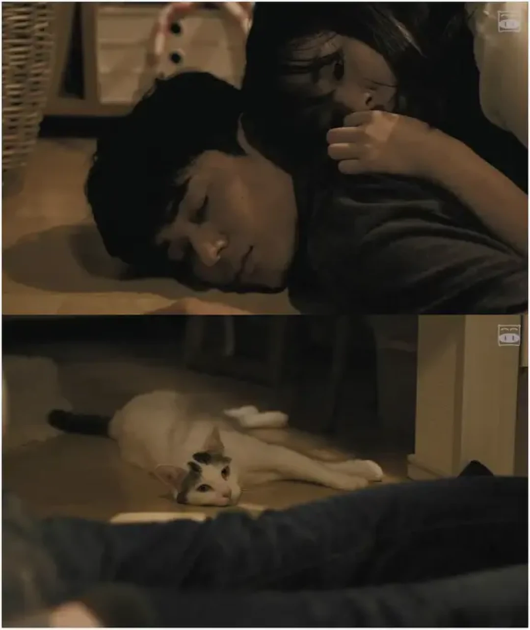 🔥《夜以继日》