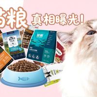 扒皮近200款猫粮！新手宠主怎么选？全网最全猫粮选购攻略