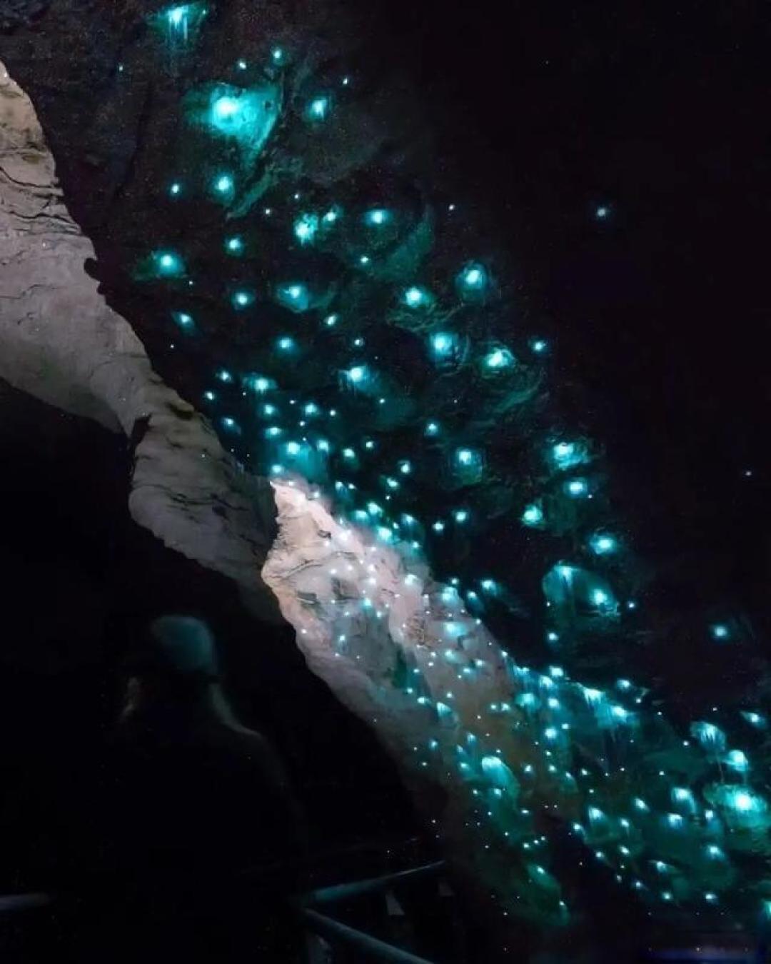 新西兰摄影指南:雪山湖泊、璀璨星河和魔幻生灵一网打尽