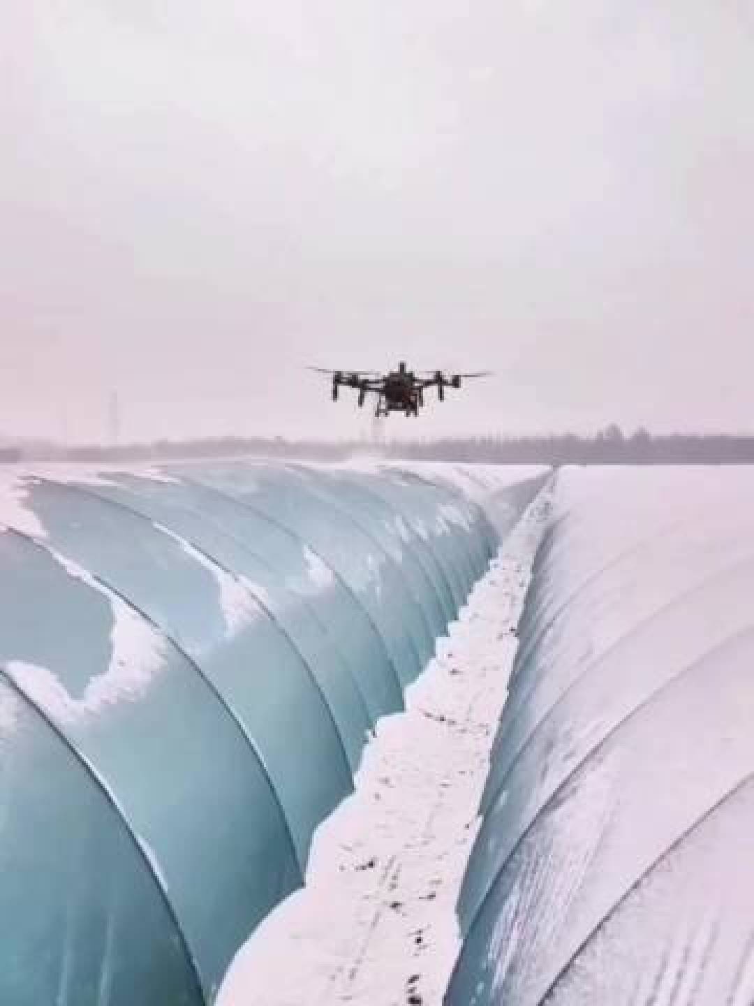 无人机变“吹雪神器”:吹完橘林吹大棚,科技护农太硬核