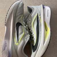 耐克Air Zoom Pegasus：跑步新选择