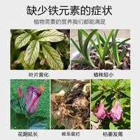硫酸亚铁，真正的作用！ ##养花小知识