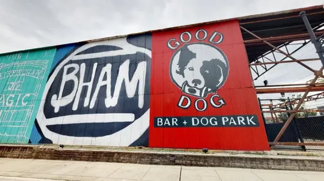 Good Dog Birmingham宠物社交与商业模式