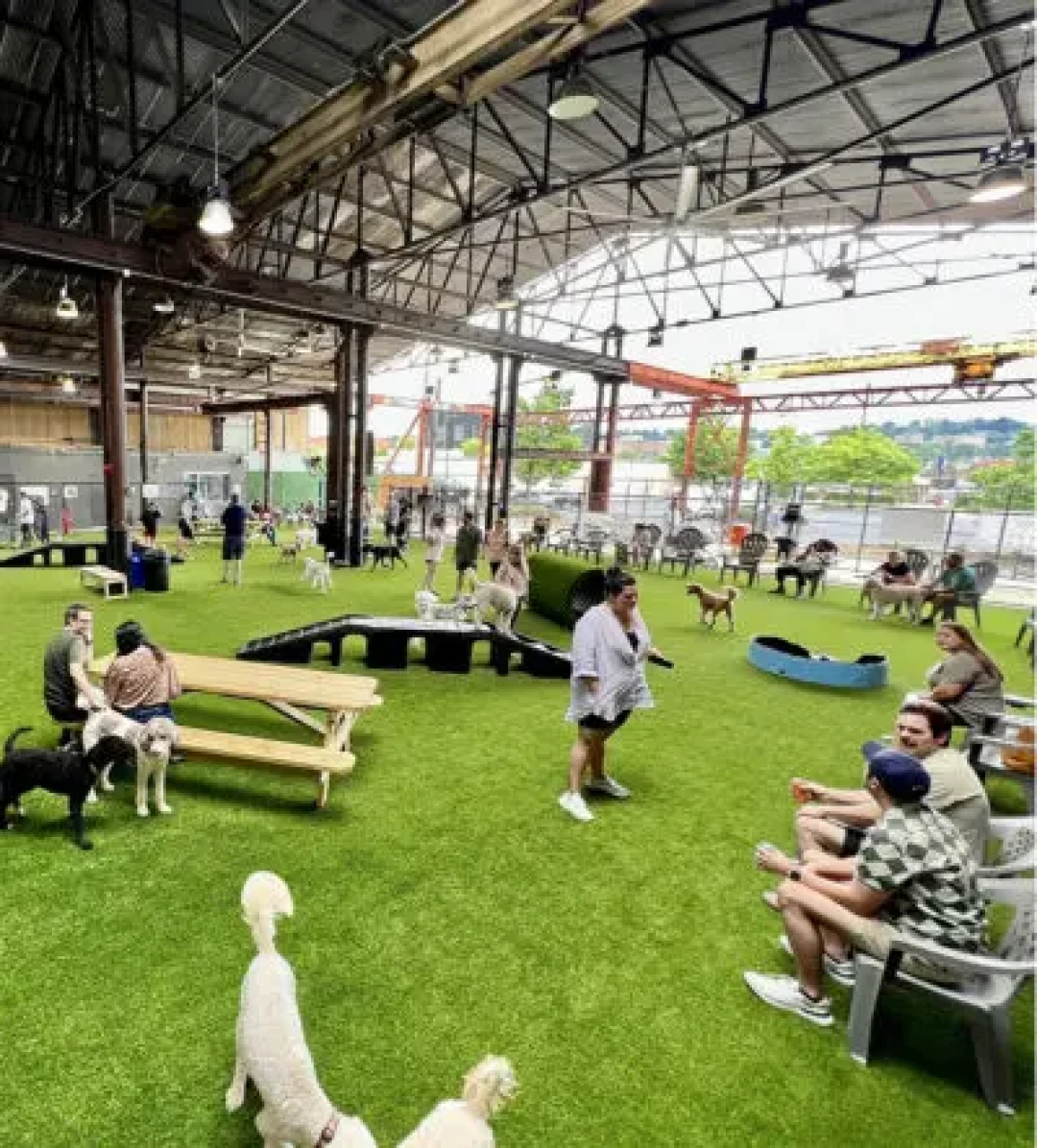 Good Dog Birmingham宠物社交与商业模式