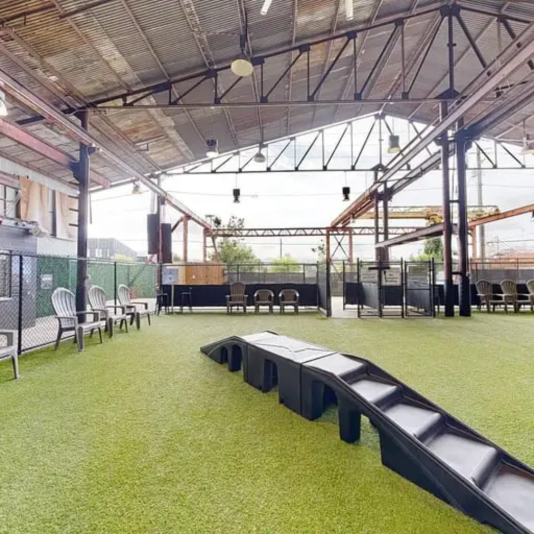 Good Dog Birmingham宠物社交与商业模式