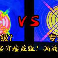 【硬核对比】20倍价格的差距！高清热成像 vs 入门款，画质对比太离谱！