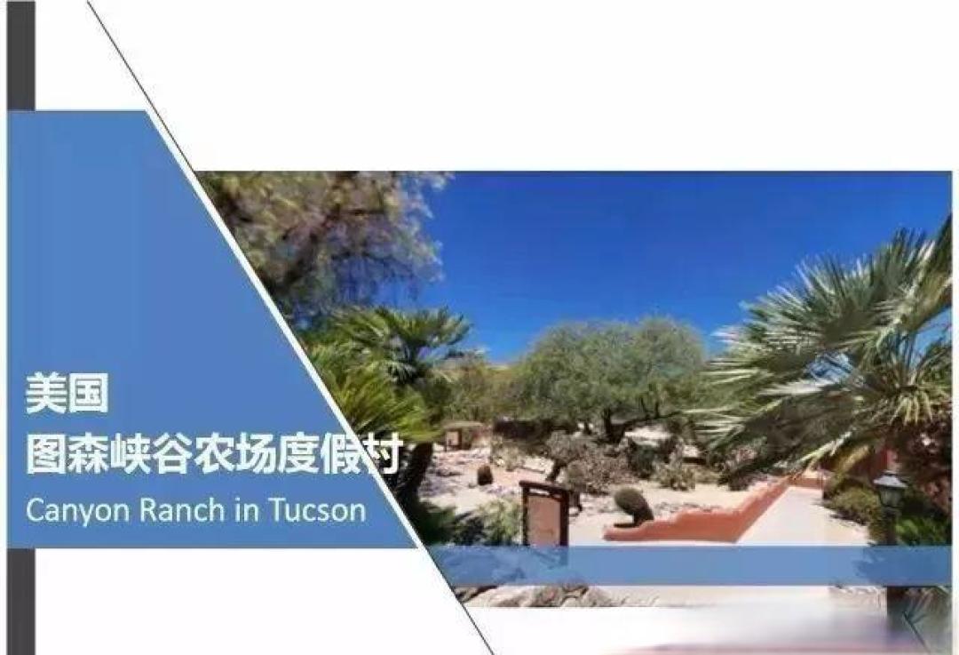 全球三大顶级康养度假胜地 | 运营模式研究