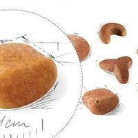 皇家狗干粮怎么选？皇家老年犬粮、贵宾犬粮等10款皇家狗干粮推荐