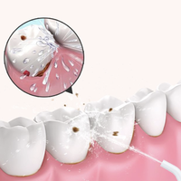 过年大鱼大肉总会塞牙缝，有什么值得入手的冲牙器推荐吗？