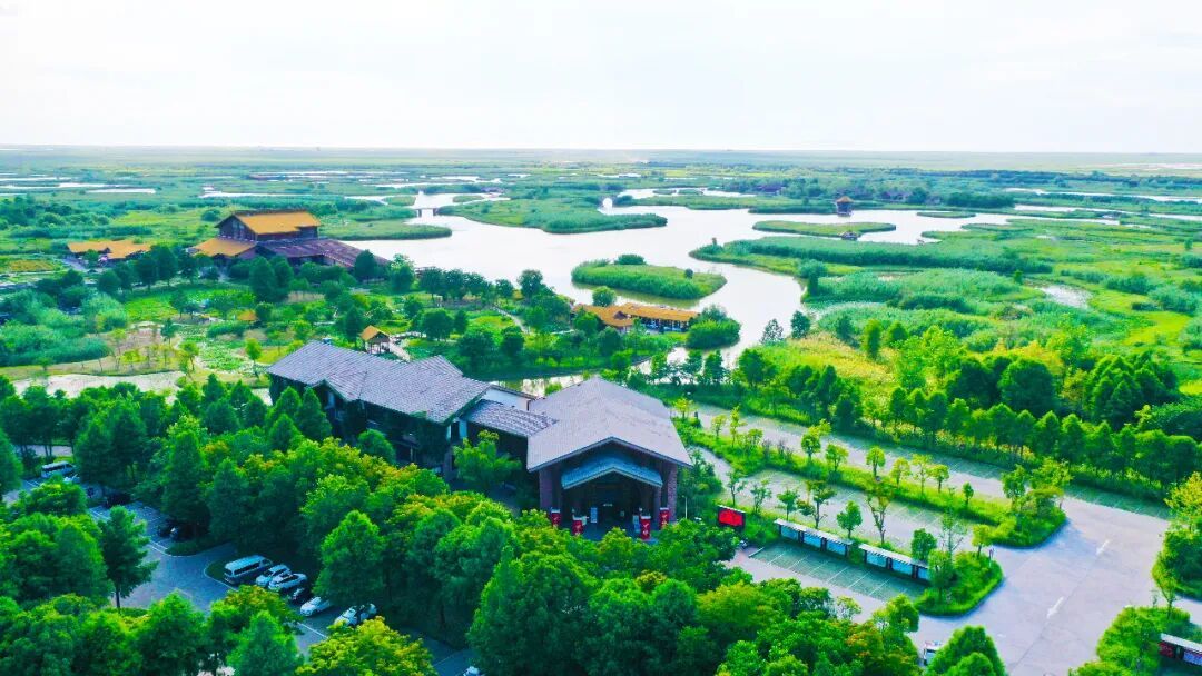 春节不加价!2间夜¥999,住凯悦酒店!吃海鲜、泡真温泉、玩主题乐园!小众家庭游!