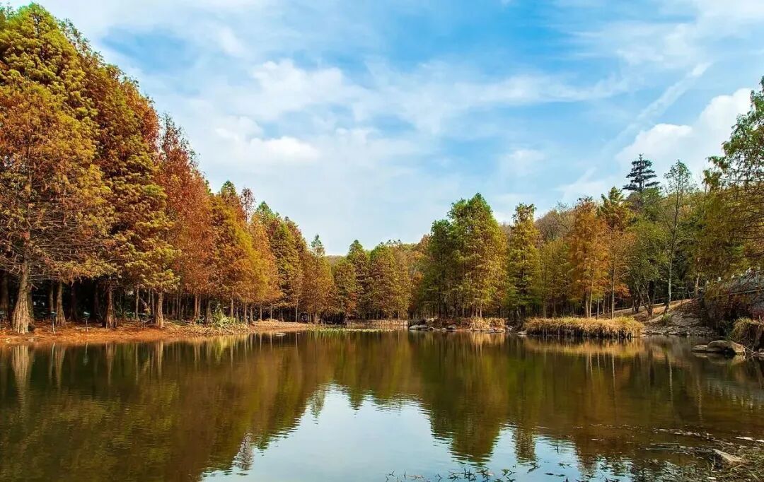 虹径穿雾,两轮画秋 | 天目湖一号公路骑行漫记