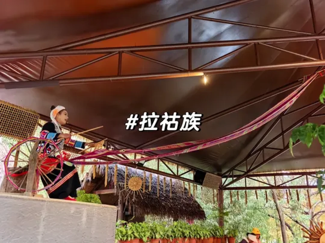 他们好快乐，我好羡慕