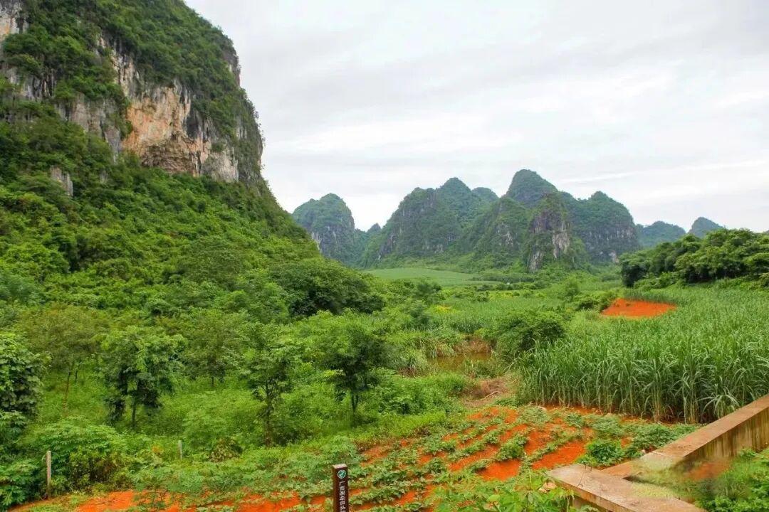 【已成团】寒假广西,一片隐藏在中国南方的隐秘之境。让我们与山海为伴,探索奇妙广西!