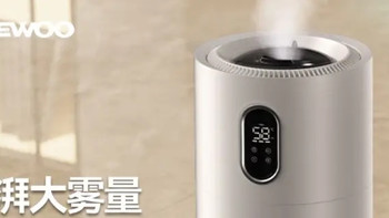 大宇空气净化加湿一体机体验