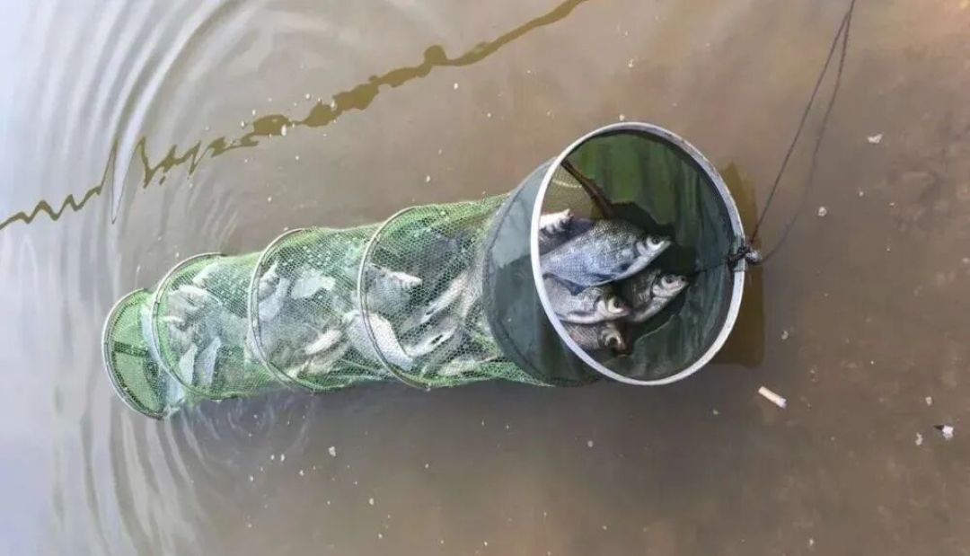 冬季钓鱼,出鱼最好的也就这4种天气!