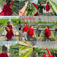 济南草莓采摘🚗|26年第一份甜❤️|娃给摘的🍓