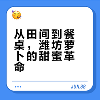 DeepSeek关于潍坊萝卜的介绍