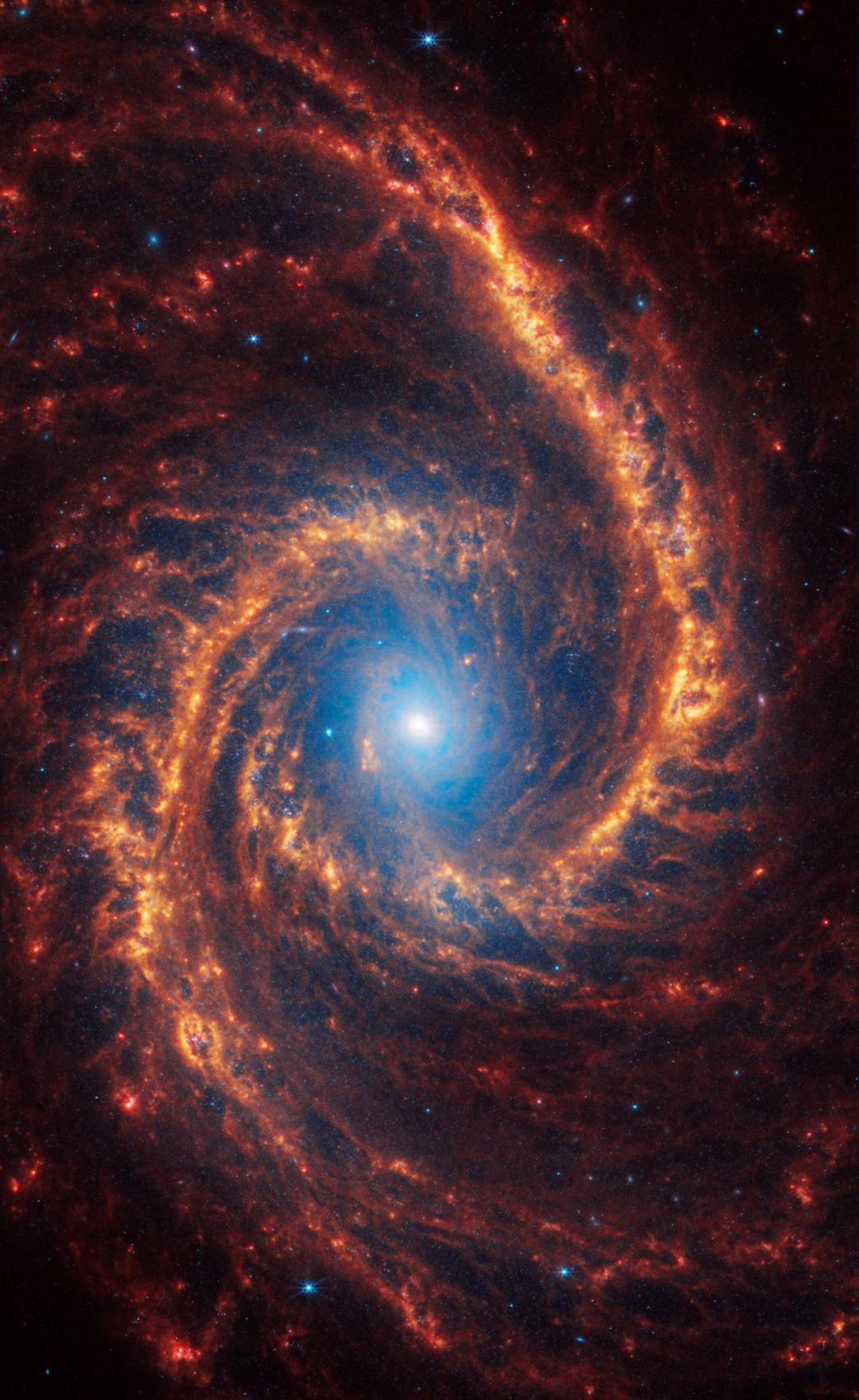 满船清梦压星河（22）—— 跳舞的星系 NGC 1566