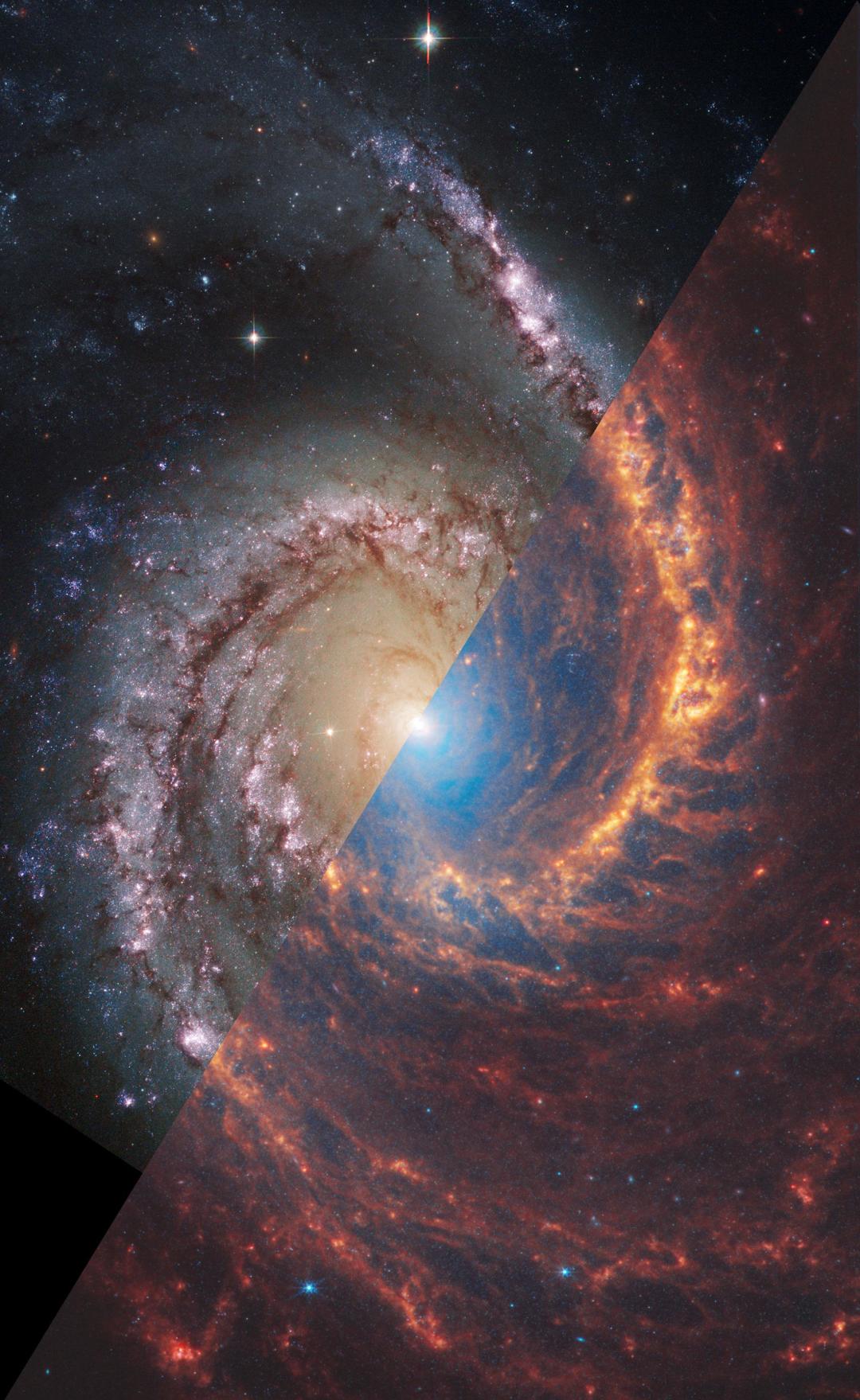满船清梦压星河（22）—— 跳舞的星系 NGC 1566