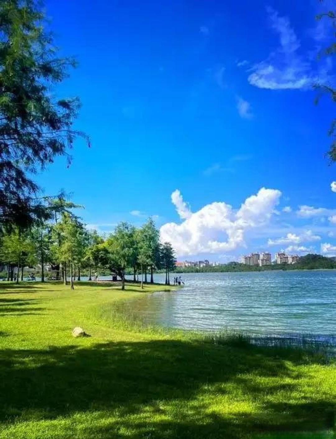 2026东莞最新旅游攻略!5个宝藏景点+美食住宿避坑全指南!