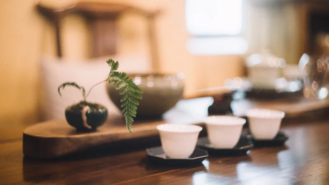 说 茶 | 时光的礼物，白牡丹的陈化魅力