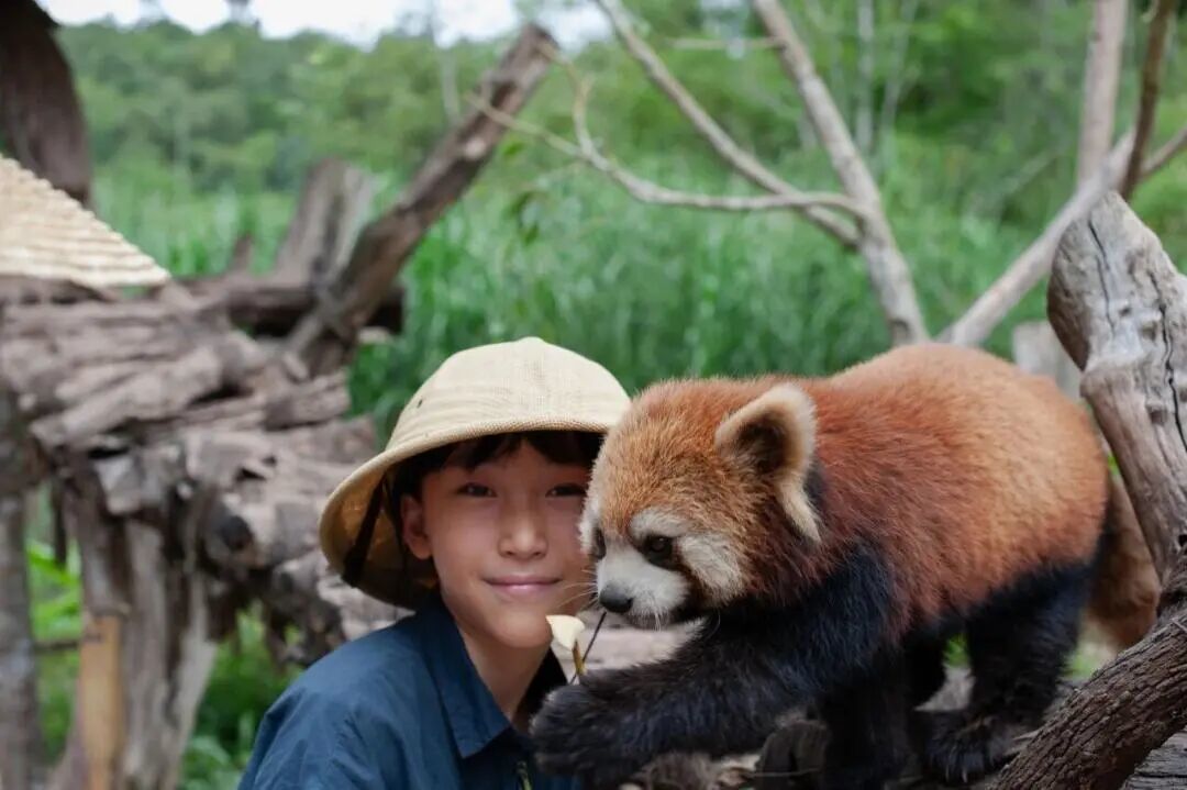 寒假湄旅游:奔赴一场21℃的自然文化深度邂逅