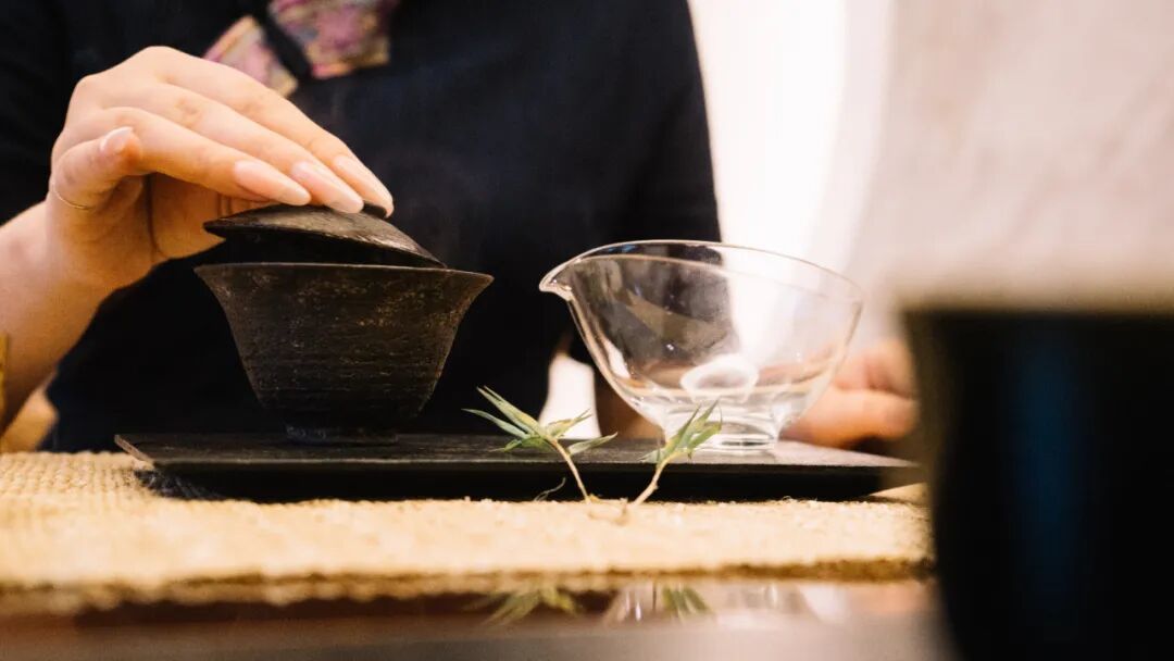 说 茶 | 时光的礼物，白牡丹的陈化魅力