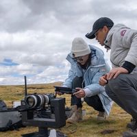 Navigare小帆船 vs 加拿大鹅？68位都市女性真实穿搭体验告诉你答案