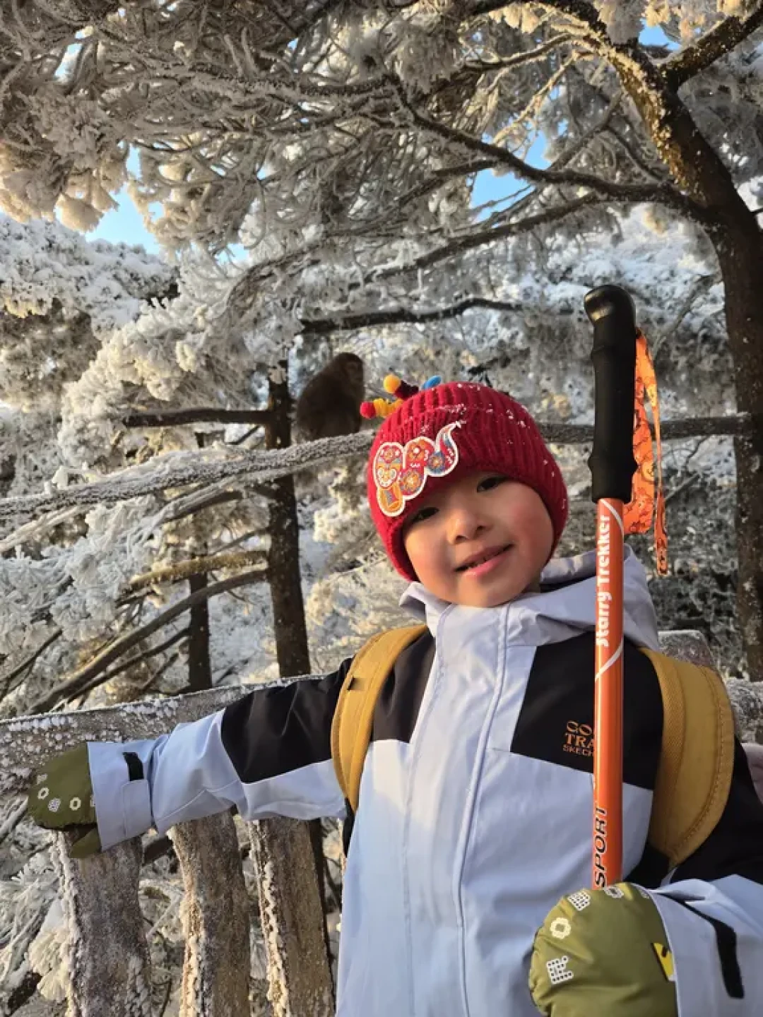 跟着课本去旅行|雪天的❄️黄山奇石