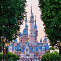Welcome to Disney!